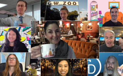 Bringing a Little Fun to Our Zoom Virtual Worlds